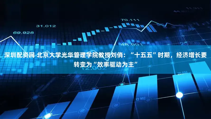 深圳配资网 北京大学光华管理学院教授刘俏：“十五五”时期，经济增长要转变为“效率驱动为主”