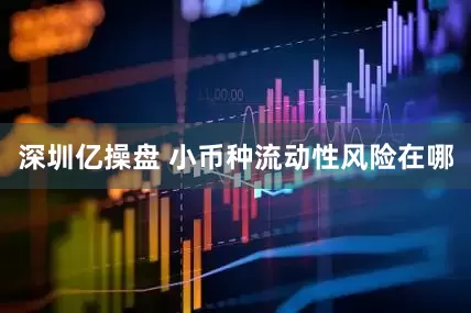 深圳亿操盘 小币种流动性风险在哪